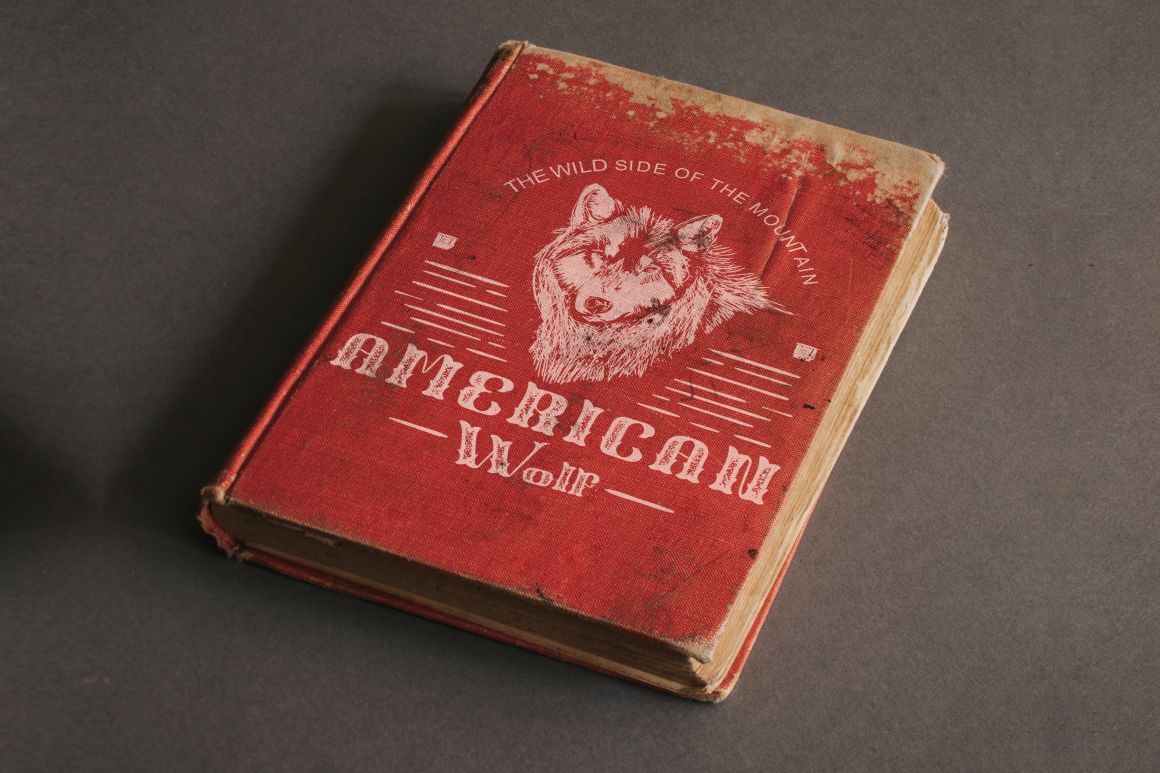 Best Font, Display Font, Decorative Font, Serif Font, Slab Font, Decoration Font, Quirky Font, Branding Font, Headline Font, Logotype Font, Playful Font, Fancy Font, Fun Font, Classic Font, Party Font, Messy Font, Cute Font, Craft Font, Casual Font, Cowboy Font, Sheriff Font, Witch Font, Feminime Font, Story Book, 70s Font, Kids Font, Happy Font, Packaging Font, Cartoon Font, Vintage Font