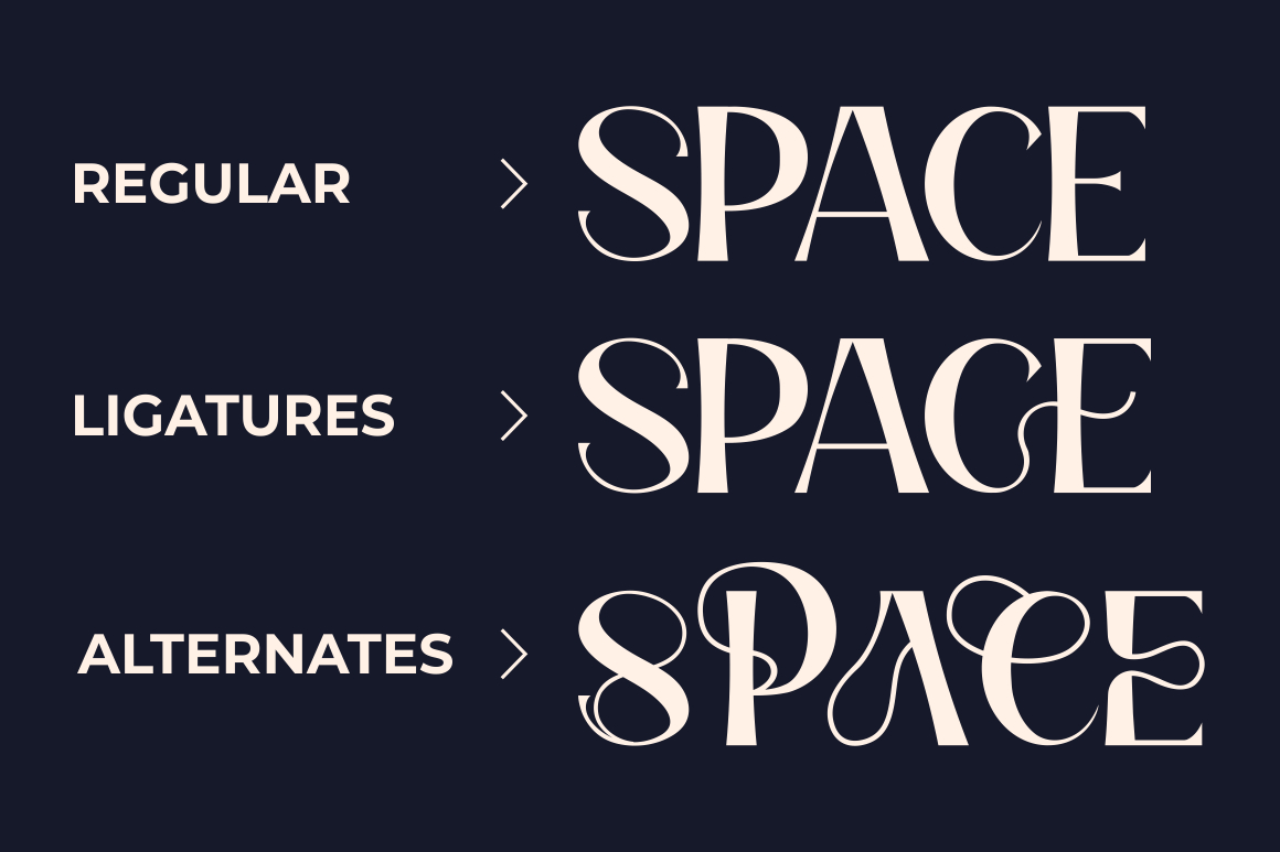 Display Fonts, Modern Font, Typeface Fonts, Serif Fonts, Classic Serif, Classic Fonts, Vintage Fonts, Rustic Fonts, Bold Fonts, Elegant Fonts, Retro Fonts, Headline Font, Decorative Fonts, Fancy Font, Curly Font, Swirly Font, Groovy Fonts, Vibes Font, Bold Serif, 80s Font, Wedding Fonts, Cool Fonts, Logo Fonts, Logotype Fonts, Magazine Font, Branding Font, Old Style, 80s Font, Sans Vintage, Sans Display