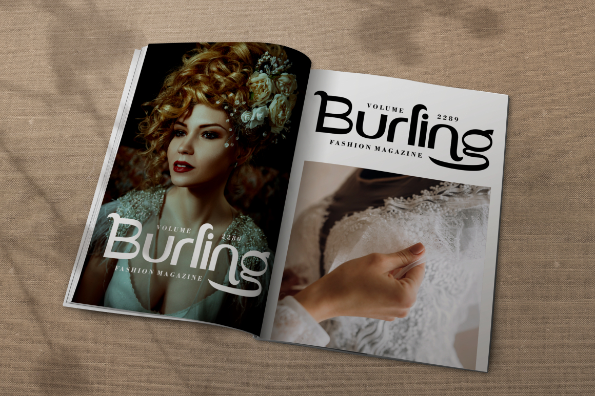 VIDAGE ELEGANT SERIF TYPEFACE FONT 4