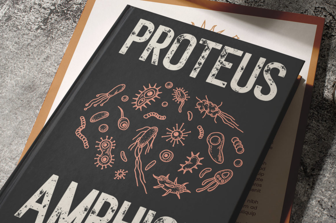 ROLEVER MODERN SANS SERIF FONT 9