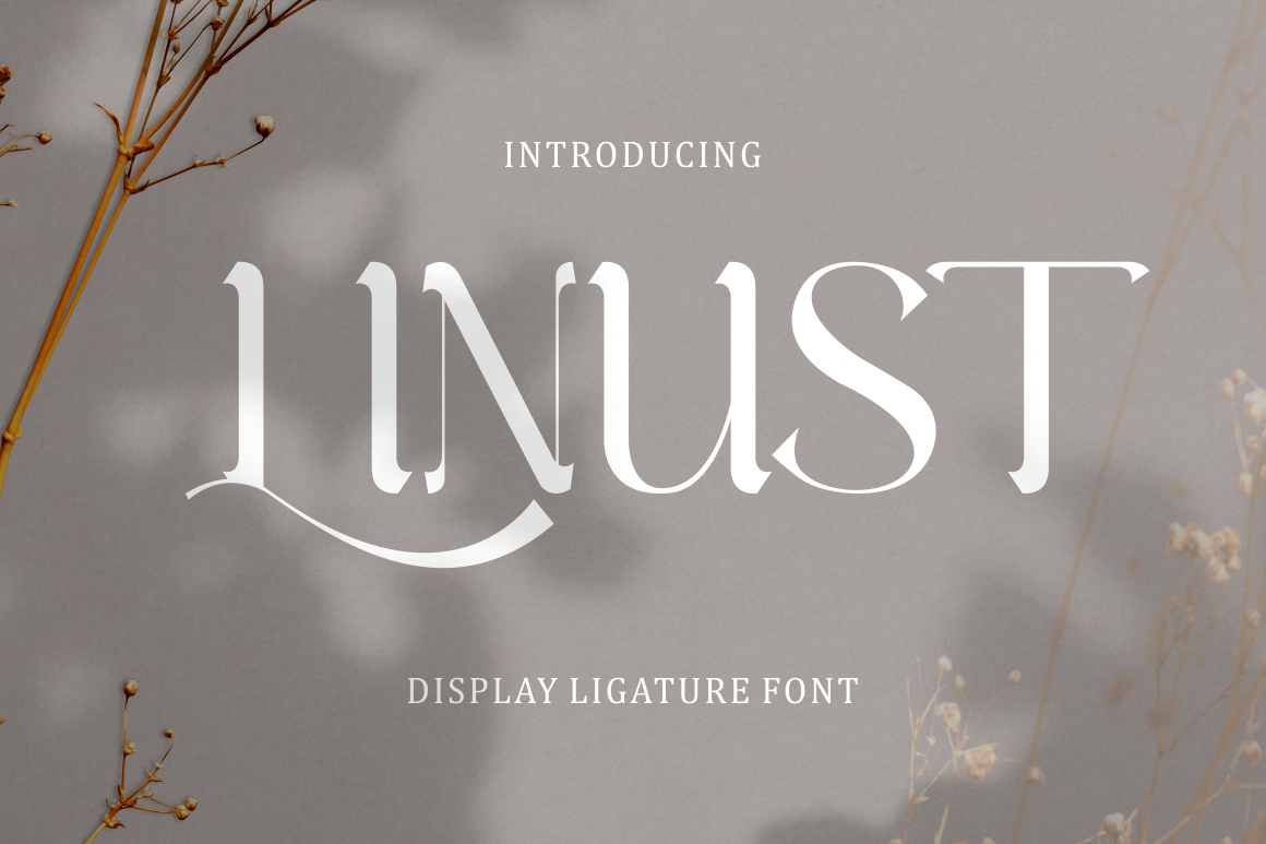 Linust - Display Modern Font