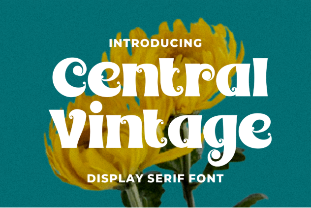 12. Central Vintage