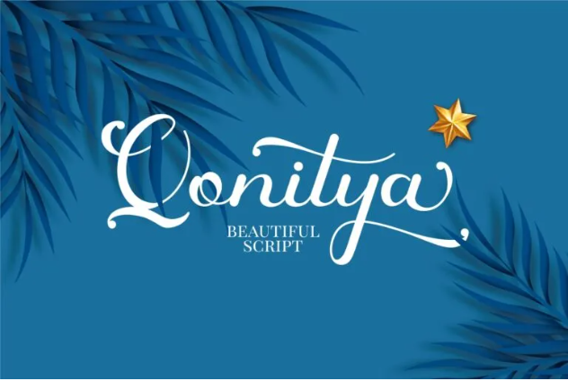 4. Qonitya