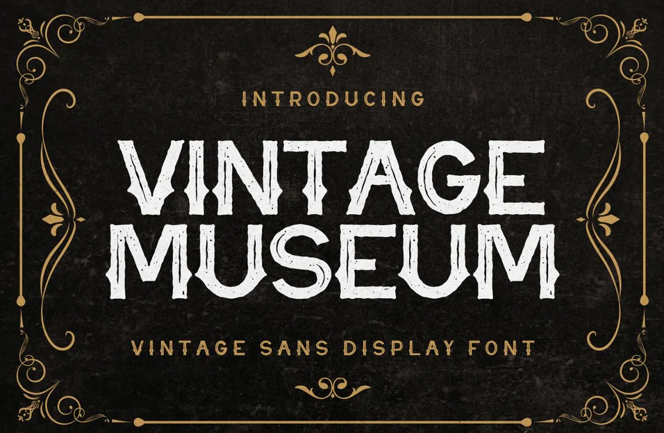 8. Vintage Museum – Vintage Sans Display