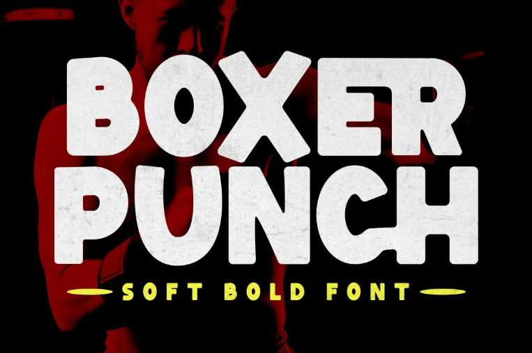 1. Boxer Punch