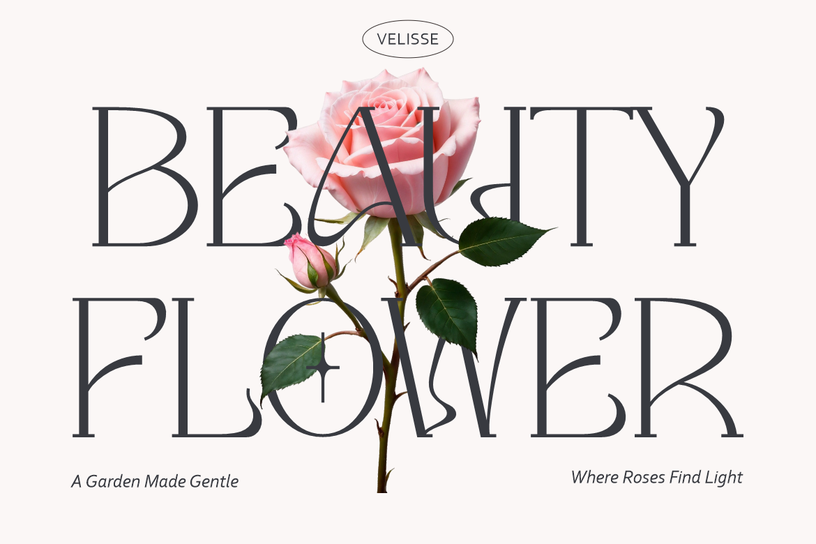 Velisse Feminine Serif Font 3