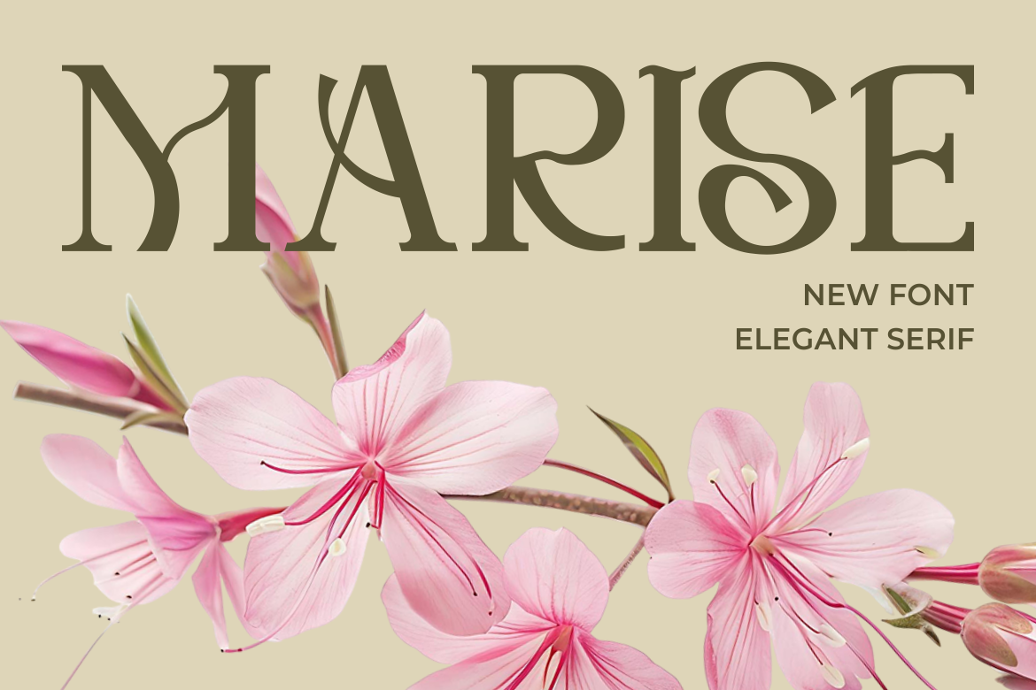 Marise Elegant Serif Font