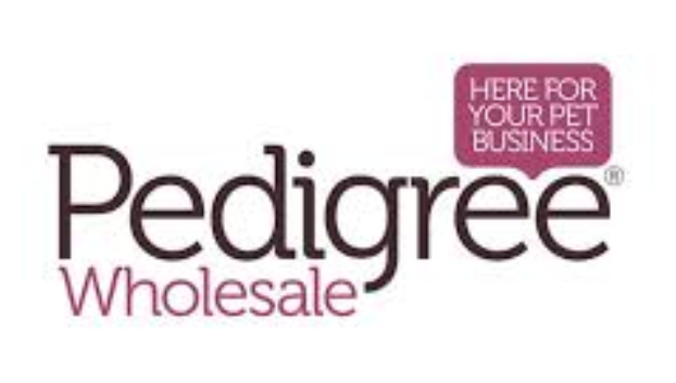 Brand In Use Font (6)